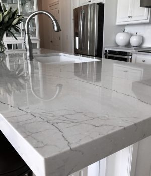 Input: a white marble countertop sample.